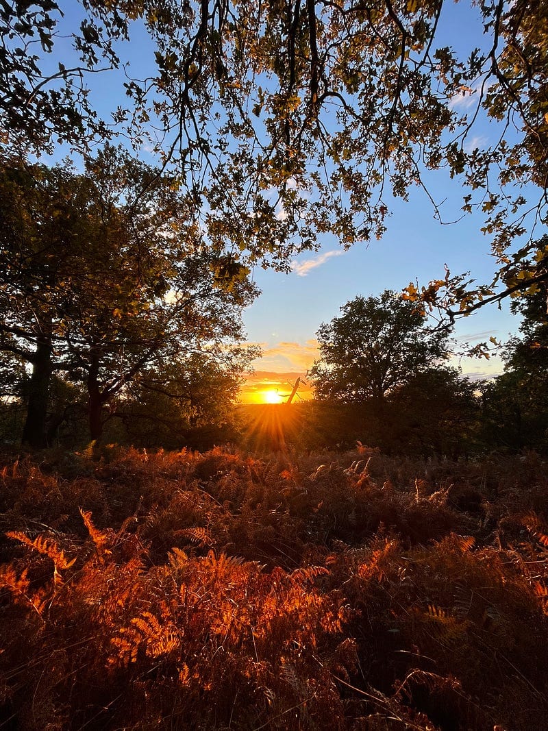 Walking the Twin Trail